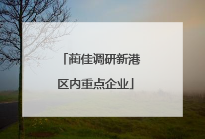 蔺佳调研新港区内重点企业