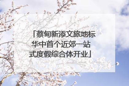 蔡甸新添文旅地标 华中首个近郊一站式度假综合体开业