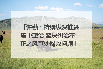许勤：持续纵深推进集中整治 坚决纠治不正之风查处腐败问题