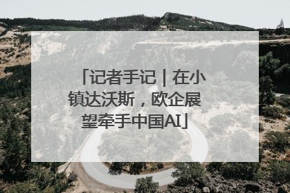 记者手记｜在小镇达沃斯，欧企展望牵手中国AI