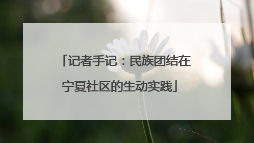 记者手记：民族团结在宁夏社区的生动实践