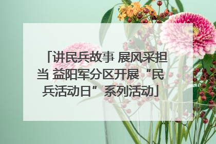 讲民兵故事 展风采担当 益阳军分区开展“民兵活动日”系列活动