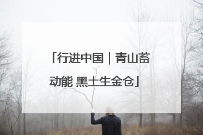 行进中国｜青山蓄动能 黑土生金仓