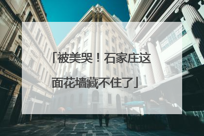 被美哭！石家庄这面花墙藏不住了