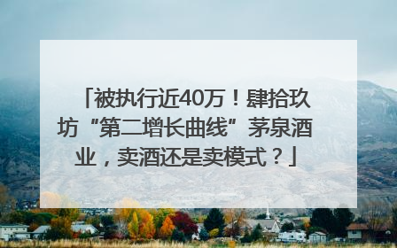 被执行近40万！肆拾玖坊“第二增长曲线”茅泉酒业，卖酒还是卖模式？