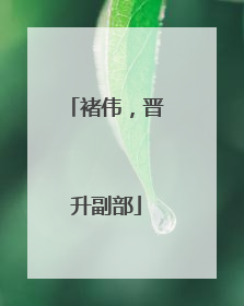 褚伟，晋升副部