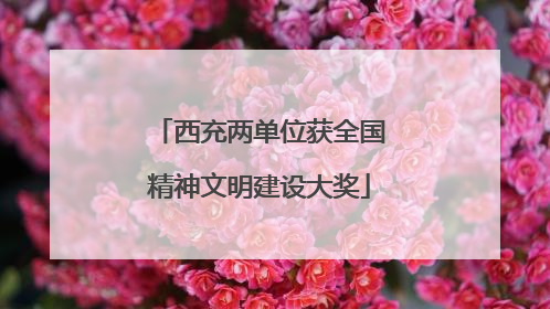 西充两单位获全国精神文明建设大奖
