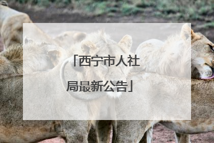 西宁市人社局最新公告