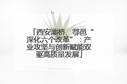 西安灞桥、鄠邑“深化六个改革”：产业攻坚与创新赋能双驱高质量发展