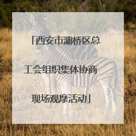 西安市灞桥区总工会组织集体协商现场观摩活动