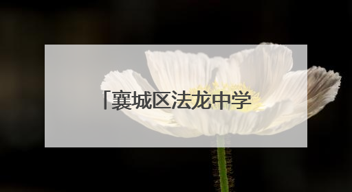 襄城区法龙中学“襄约学科学”点燃少年科技梦