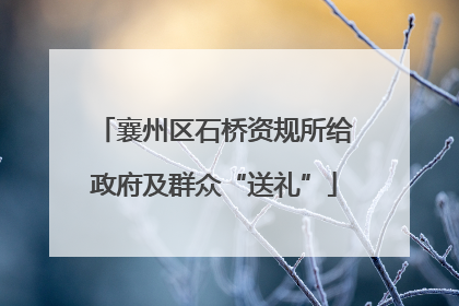 襄州区石桥资规所给政府及群众“送礼”