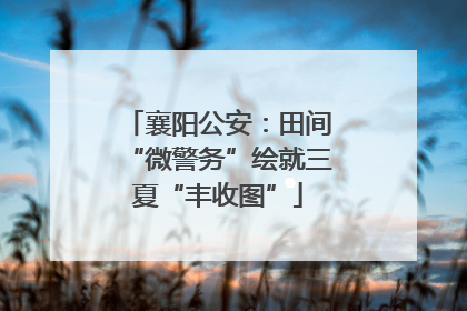 襄阳公安：田间“微警务”绘就三夏“丰收图”