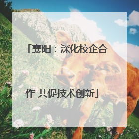 襄阳：深化校企合作 共促技术创新