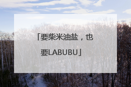 要柴米油盐，也要LABUBU