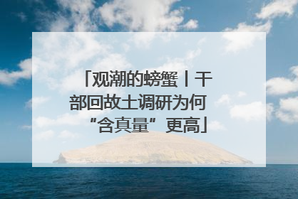 观潮的螃蟹丨干部回故土调研为何“含真量”更高