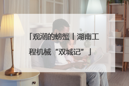 观潮的螃蟹丨湖南工程机械“双城记”