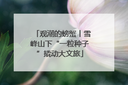 观潮的螃蟹丨雪峰山下“一粒种子”撬动大文旅