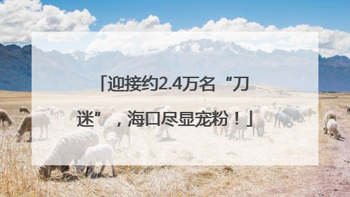 迎接约2.4万名“刀迷”，海口尽显宠粉！