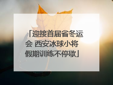 迎接首届省冬运会 西安冰球小将假期训练不停歇