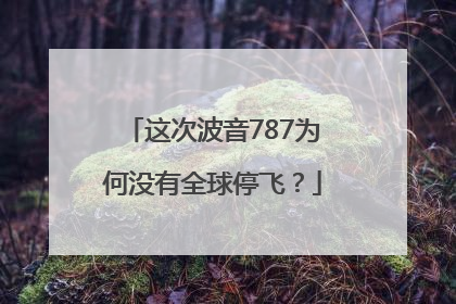 这次波音787为何没有全球停飞？