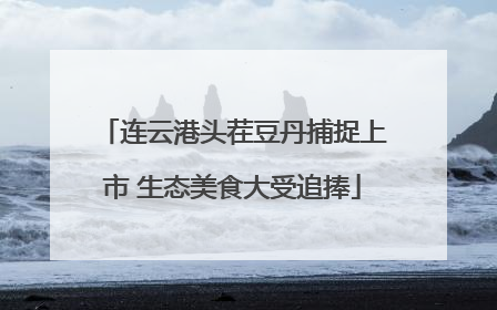 连云港头茬豆丹捕捉上市 生态美食大受追捧