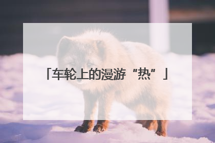 车轮上的漫游“热”