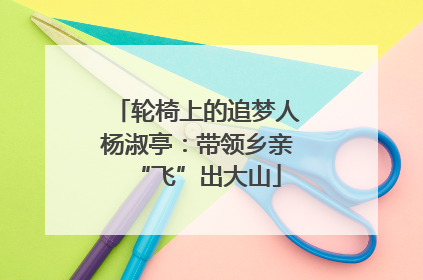 轮椅上的追梦人杨淑亭：带领乡亲“飞”出大山