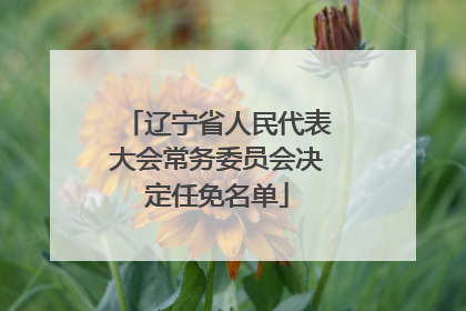 辽宁省人民代表大会常务委员会决定任免名单