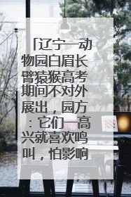 辽宁一动物园白眉长臂猿猴高考期间不对外展出，园方：它们一高兴就喜欢鸣叫，怕影响考试