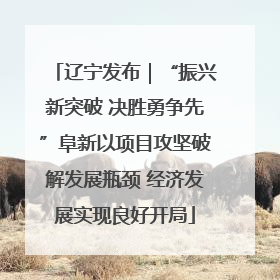 辽宁发布｜“振兴新突破 决胜勇争先”阜新以项目攻坚破解发展瓶颈 经济发展实现良好开局
