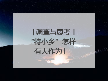 调查与思考丨“特小乡”怎样有大作为