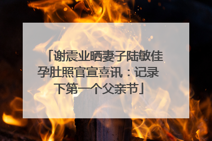 谢震业晒妻子陆敏佳孕肚照官宣喜讯：记录下第一个父亲节