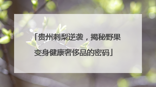 贵州刺梨逆袭，揭秘野果变身健康奢侈品的密码