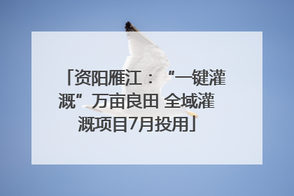 资阳雁江：“一键灌溉”万亩良田 全域灌溉项目7月投用
