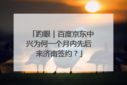 趵眼｜百度京东中兴为何一个月内先后来济南签约？