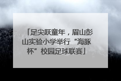 足尖跃童年，眉山彭山实验小学举行“海豚杯”校园足球联赛