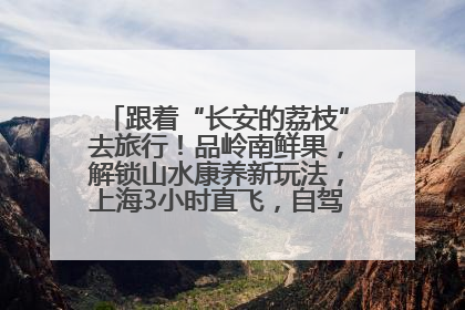 跟着“长安的荔枝”去旅行！品岭南鲜果，解锁山水康养新玩法，上海3小时直飞，自驾高速费优惠