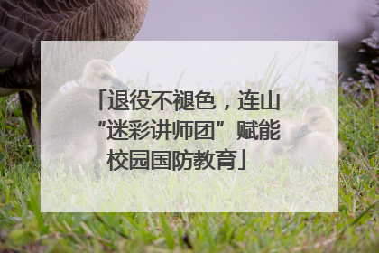 退役不褪色，连山“迷彩讲师团”赋能校园国防教育