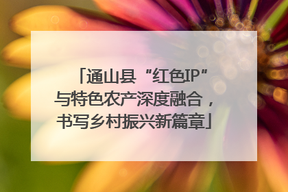通山县“红色IP”与特色农产深度融合，书写乡村振兴新篇章