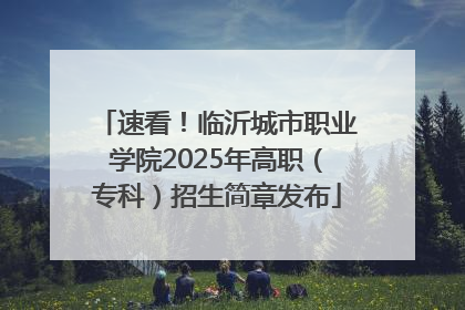 速看！临沂城市职业学院2025年高职（专科）招生简章发布