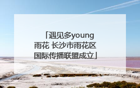 遇见多young雨花 长沙市雨花区国际传播联盟成立
