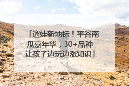 遛娃新地标！平谷南瓜嘉年华，30+品种让孩子边玩边涨知识