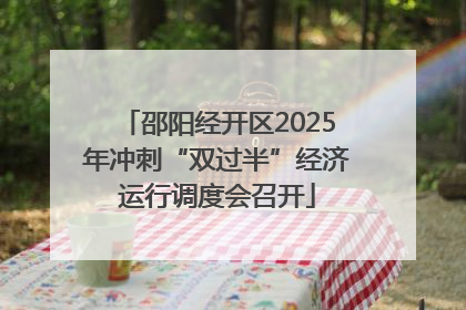 邵阳经开区2025年冲刺“双过半”经济运行调度会召开