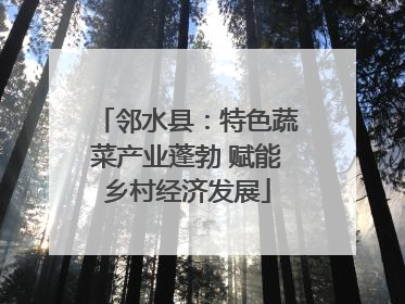 邻水县：特色蔬菜产业蓬勃 赋能乡村经济发展