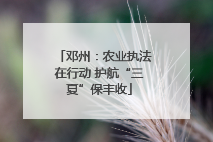 邓州：农业执法在行动 护航“三夏”保丰收
