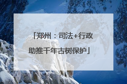 郑州：司法+行政助推千年古树保护