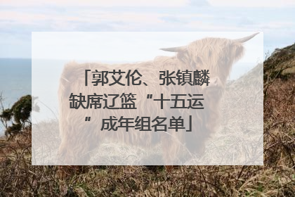 郭艾伦、张镇麟缺席辽篮“十五运”成年组名单