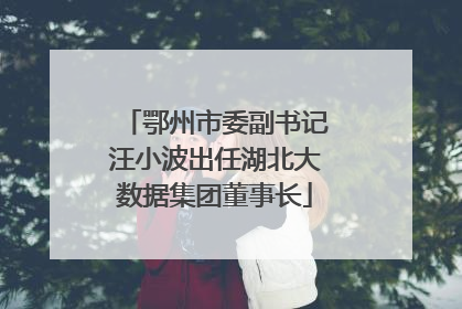 鄂州市委副书记汪小波出任湖北大数据集团董事长