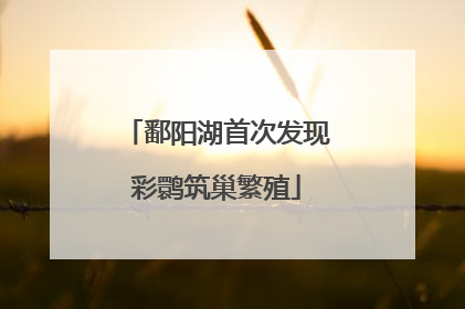 鄱阳湖首次发现彩鹮筑巢繁殖